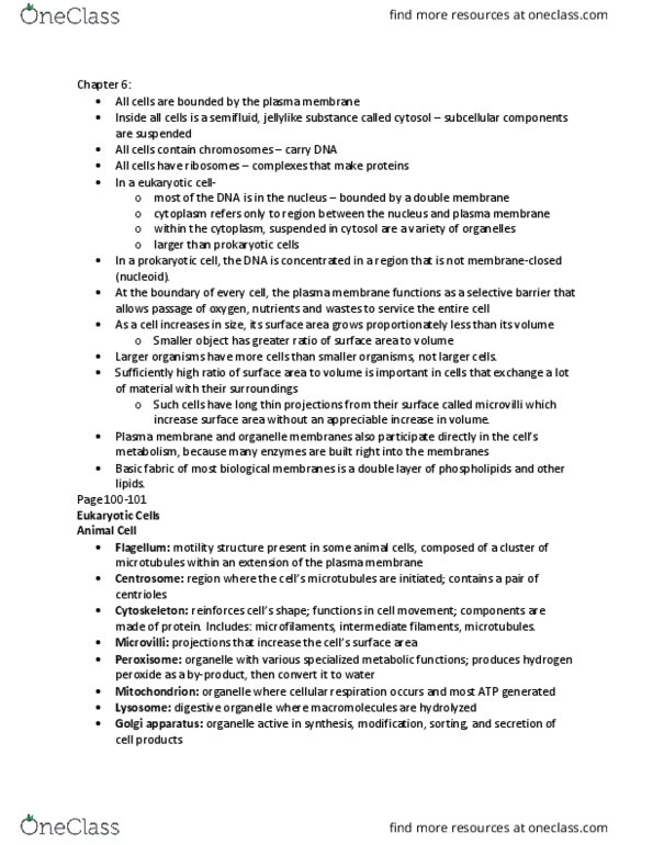 BIO SCI 93 Chapter Notes - Chapter Chapter 6 and 7: Cell Membrane, Golgi Apparatus, Intermediate Filament thumbnail